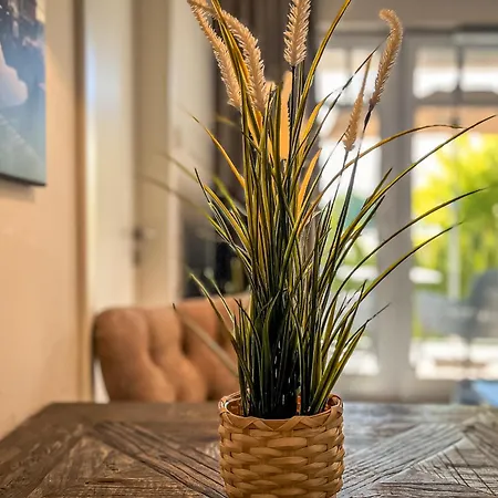 Baltischer Hof 29 Διαμέρισμα Boltenhagen (Ostseebad)