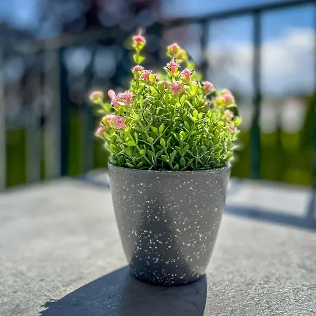 Baltischer Hof 29 Boltenhagen (Ostseebad)