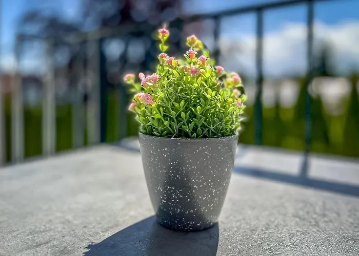 Baltischer Hof 29 Boltenhagen